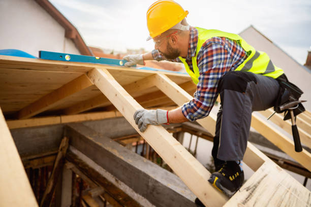 Best Roof Gutter Cleaning  in Watauga, TX